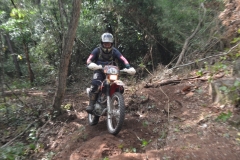 DSC0190
