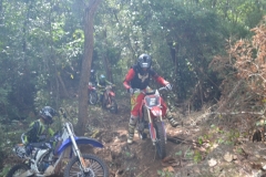 DSC0208