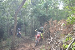 DSC0214