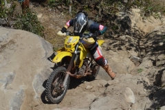 DSC0572