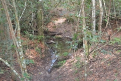 DSC0596