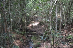 DSC0597