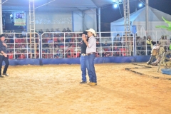 DSC0833