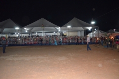 DSC0841
