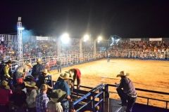 DSC0955