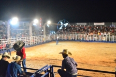 DSC0962