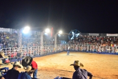 DSC0963