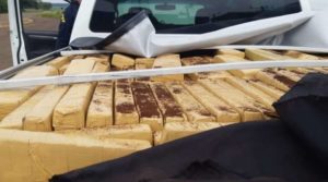 Motorista se apavora com PRF, foge e abandona caminhonete com 1 t de maconha